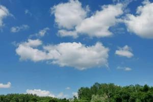 Beküldte R. Norbert