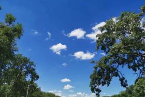 Beküldte Z. István