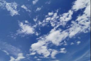 Beküldte K. Sándor