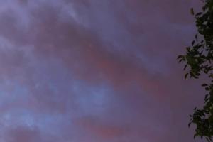 Beküldte S. Beatrix