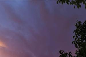 Beküldte S. Beatrix