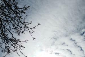 Beküldte S. Beatrix