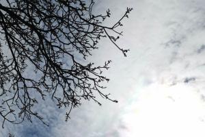 Beküldte S. Beatrix