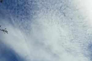 Beküldte S. Beatrix