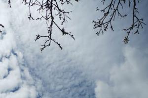 Beküldte S. Beatrix