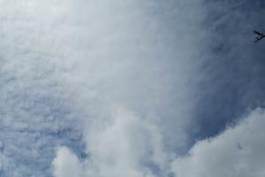 Beküldte S. Beatrix